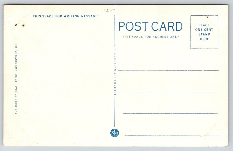 State View~Jacksonville IL~Illinois School For Blind~US Flag~Vintage Postcard