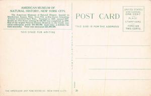 American Museum of Natural History, New York, N.Y., Early Postcard, Unused