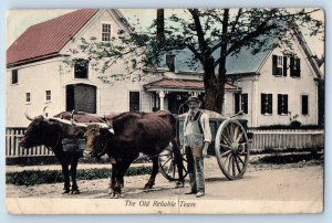 1909 The Old Reliable Team Oxen And Wagon Revere MA Posted Antique Postcard