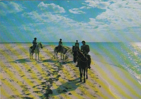 Cuba Isola di Cayo Largo Horseback Riders On The Beach