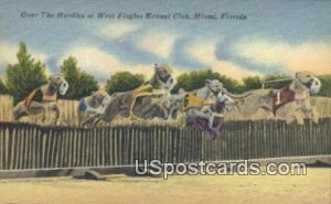 Hurdles, West Flagler Kennel Club - Miami, Florida FL  