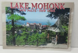 Lake Mohonk New Paltz New York Vintage Postcard