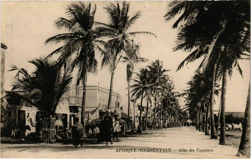 CPA AK SÉNÉGAL-Afrique Occidentale-Allée des Cocotiers (331147)