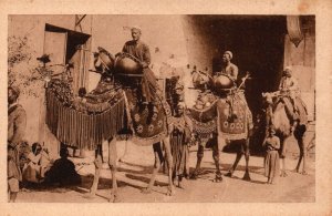 Egypt Kettle Drummer For Joyful Corteges Vintage Postcard 08.98