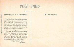 St. Georges and Harbour, Bermuda, Early Postcard, Unused