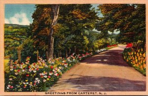 New Jersey Greetings From Carteret Country Road Scene