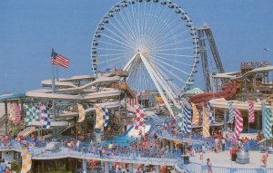 Raging Waters Theme Park New Jersey NJ USA Postcard