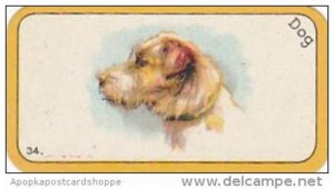 Carreras Cigarette Card Greyhound Racing Game No 34 Dog