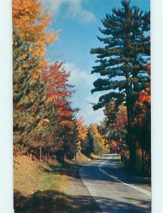 Unused Pre-1980 GREETINGS FROM - ROAD THRU AUTUMN TREES Oneonta NY Q7846