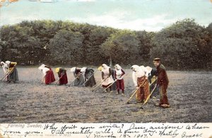 Farming Sweden View Postcard Backing 