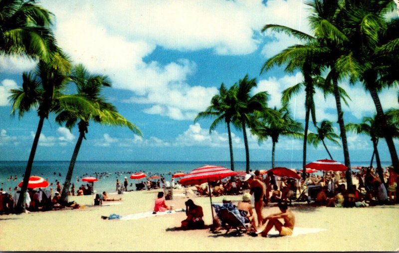 Florida Miami Beach Scene On The World Famous Beach