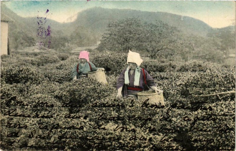 CPA AK on the countryside hand colored postcard JAPAN (609592)