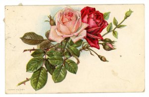 Greeting - General, Blank