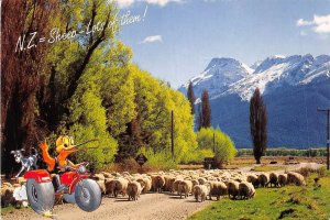 Lot99 road to  glenorky lake wakatypu new zealand sheep