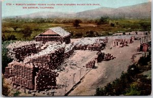 World Largest Pigeon Ranch Southern Pacific Train Los Angeles Calif. Postcard