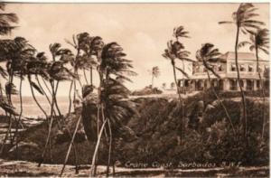 BARBADOS, BWI   CRANE COAST  postcard