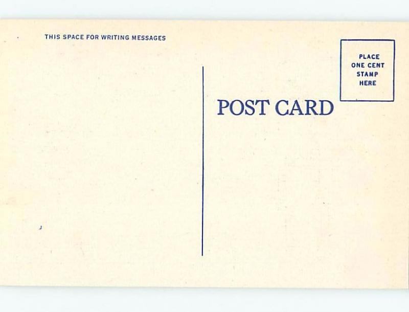 Linen risque SEXY BIKINI GIRL WITH MAGICIAN - MAGIC ho4068@