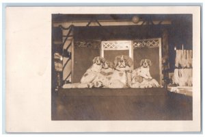 c1905 Cute Saint Bernards Dogs Animals RPPC Photo Unposted Antique Postcard