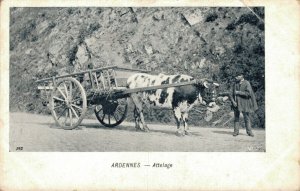 Belgium Ardennes Attelage Ox Cart 06.77