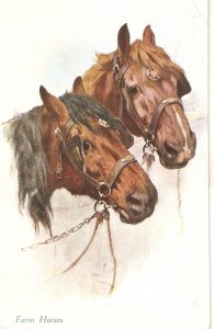 fARM hORSES nICE OLD VOINTAGE eNGLISH POSTCARD