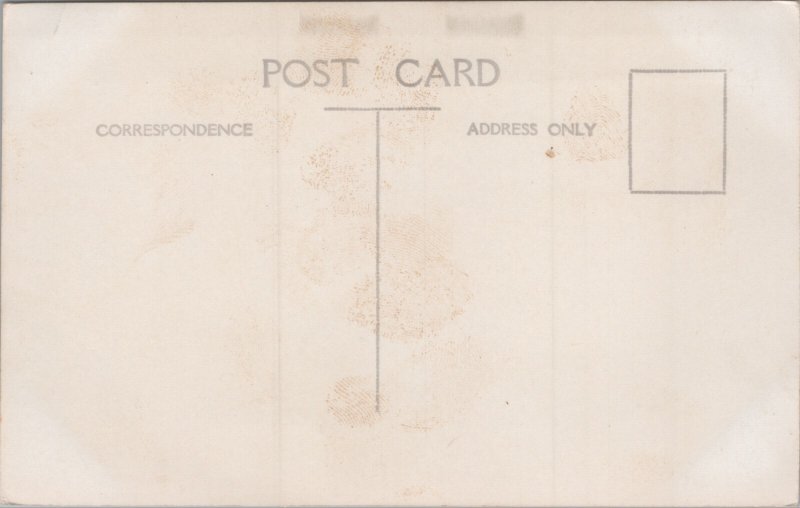 Indonesia Water Buffalo Farm Java RPPC C380