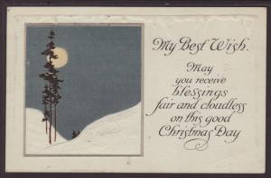 My Best Wish,Christmas,Tree,Moon Postcard 