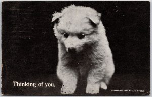 1911 Cute Pet Dog Puppy Thick Fur Thinking of You Posted Postcard