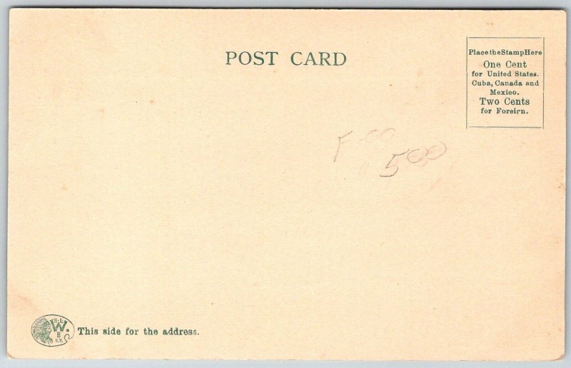 City Of Buffalo Steamship c1905 Postcard