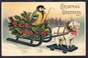  Christmas Greetings,Bird,Sheep Pulling Sled Postcard 