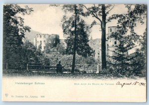 Heidelberg Germany Postcard Heidelberger Castle View Through Trees 1901