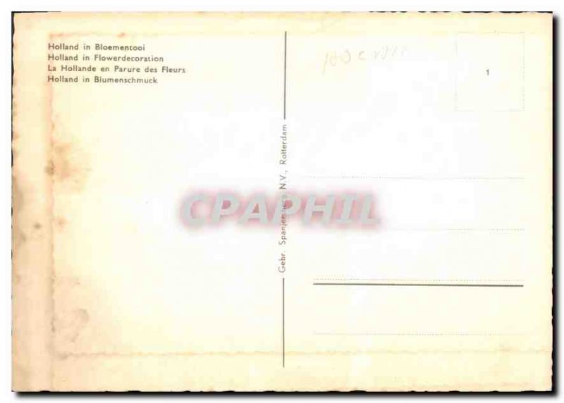 Modern Postcard Holland in Bloementooi