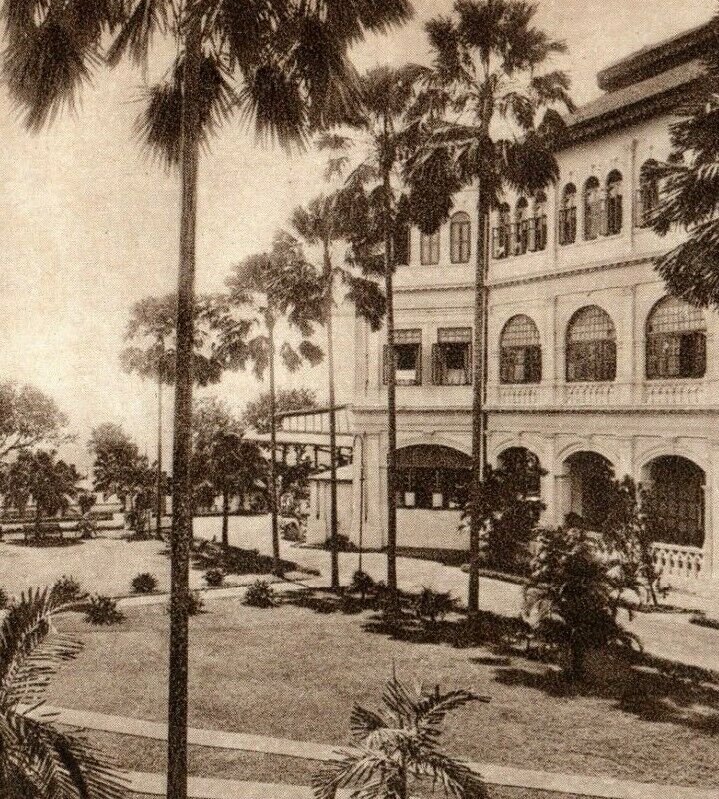 c. 1910-20 The Palm Court, Raffles Hotel, Singapore Vintage Postcard Z1