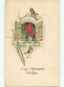 Divided-Back CHRISTMAS BIRDS SCENE Pretty Postcard W8577