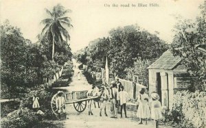 Caribbean Jamaica C-1910 On road Blue Hills street scene Postcard 22-5294