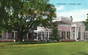 Vintage Postcard 1930's Beautiful House Monteigne Natchez Mississippi Structure