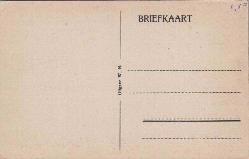 Netherlands Laurens Costerstraat Schiedam  Vintage Postcard C120