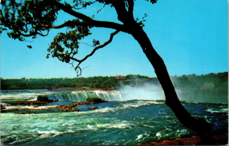 Vtg The Rapids & Falls in Prospect Park Niagara Fall New York NY Unused Postcard