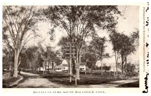 Connecticut  South  Woodstock  , McClellan Elms