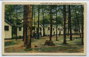 Cabin Row Camp Nawakwa Biglerville Pennsylvania 1946 linen postcard