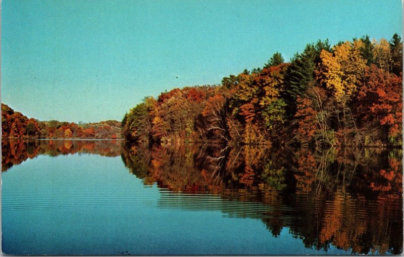 Pine Lake State Park October Scene Fall Autumn Postcard VTG UNP Koppel Vintage 