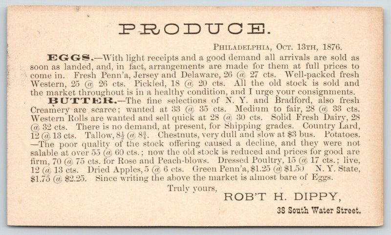 Philadelphia PA~Rob't Dippy Produce Eggs & Butter~1871 Liberty Postal (1875 PM) 