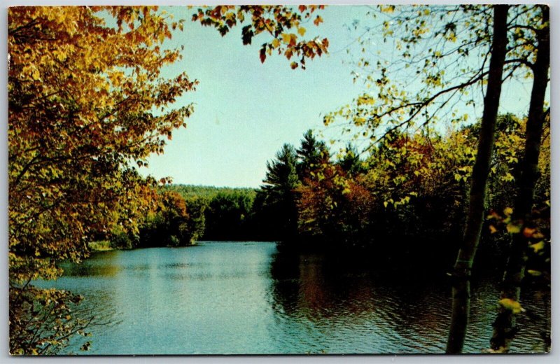 Vtg Pocahontas Arkansas AR A Quiet Spot on the Lake 1950s View Vacation Postcard