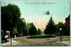 Park Place Chestnut Street Lebanon Pennsylvania PA 1908 DB Postcard C14