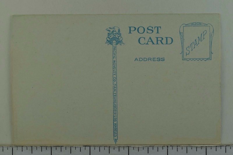 C.1910 Business Section Tacoma, Washington Vintage Postcard P52