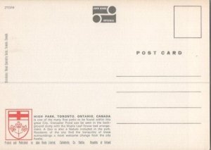 High Park Grenadier Pond Ontario Canada Continental Postcard