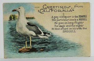 Greetings from California The Shegull Postcard N8