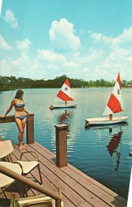 Vintage Postcard Panorama Lake View Route S-464 Silver Springs Shore Florida FL