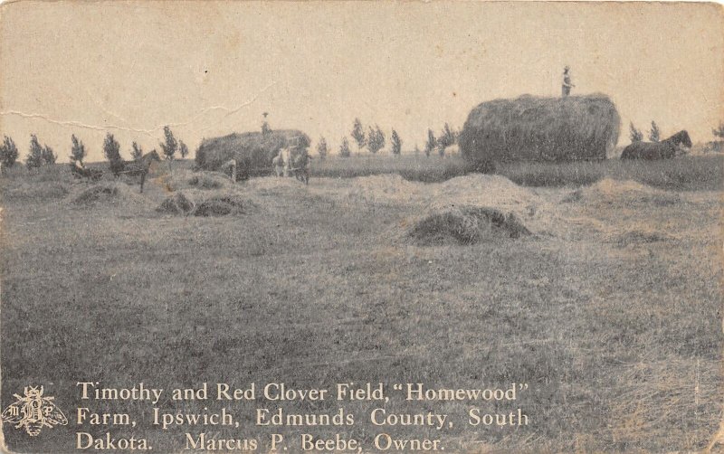 H47/ Ipswitch Edmunds Coc1910 South Dakota Postcard Homewood Farm