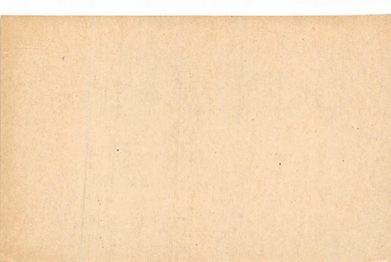 Hot Rodders Non  backing Monkey unused 