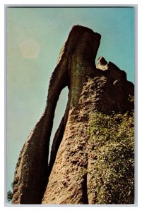 Postcard SD Needles Eye Sylvan Lake South Dakota Vintage Standard View Card